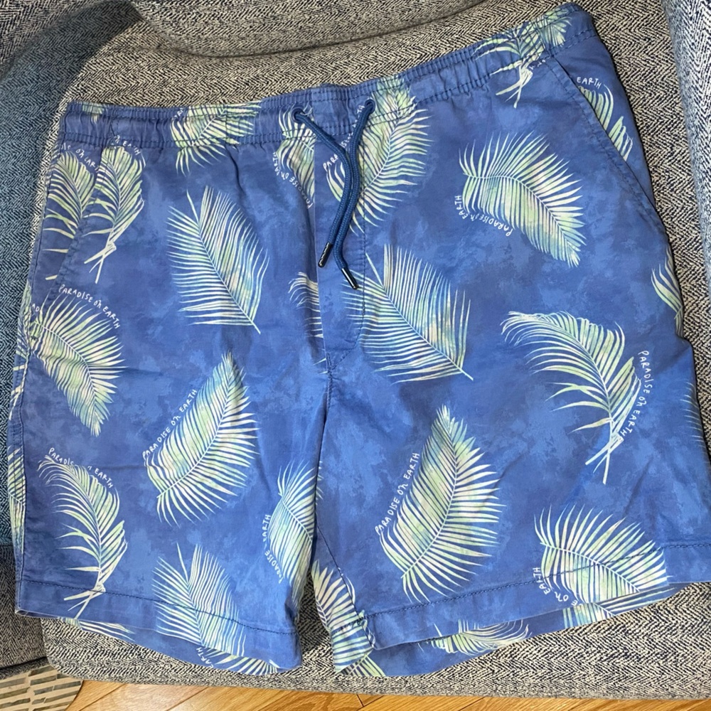 American Eagle Outfitters OBX Trekker Shorts- Men’s Large